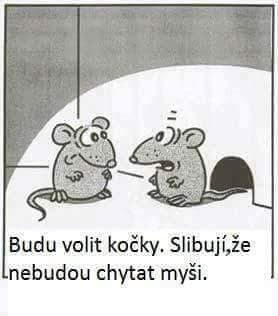 predvolebne sluby