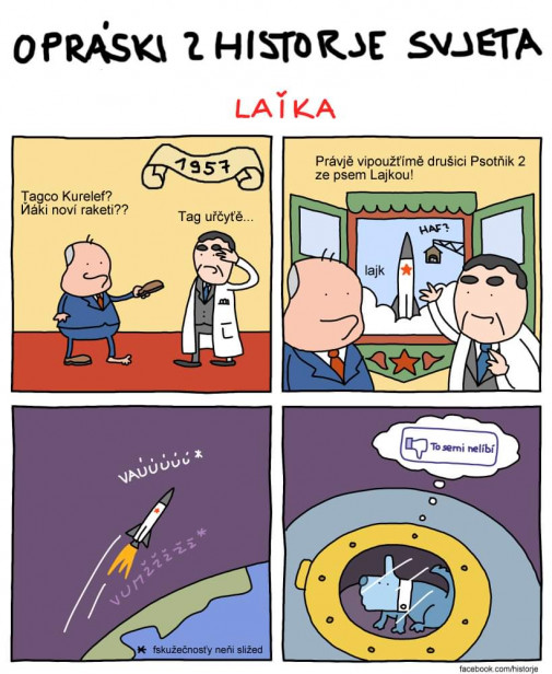 Príspevok 115090
