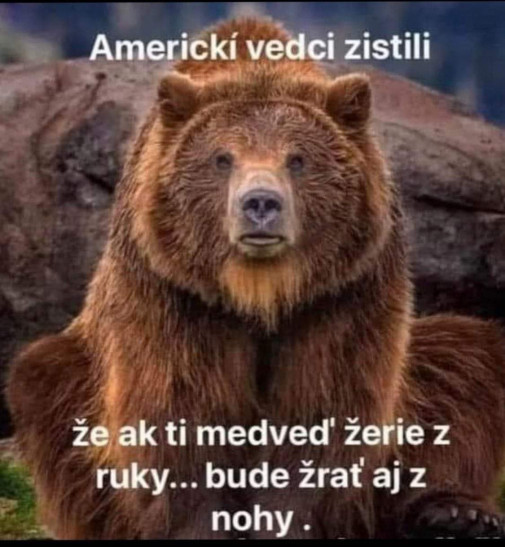 Príspevok 133520