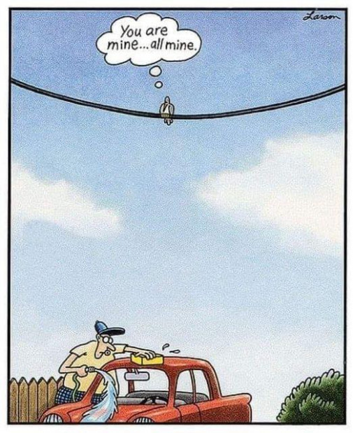 plan jasny