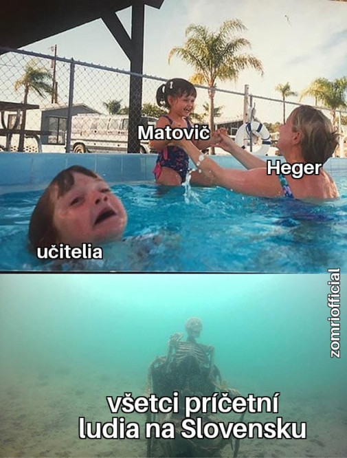 Príspevok 144520