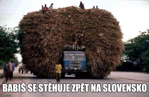 Babis sa stahuje spat na Slovensko