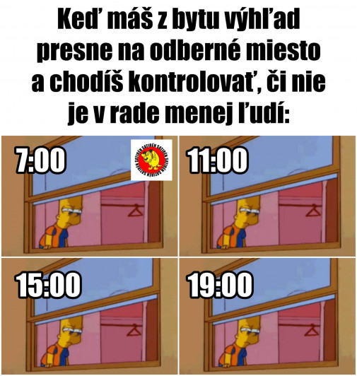 Príspevok 124361