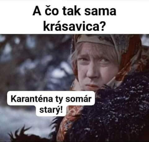 Príspevok 124491