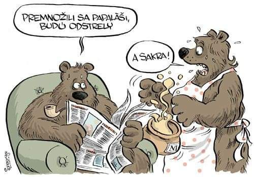 Zacneme s Holym a Kollarom?