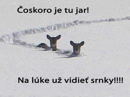 Jar je tu