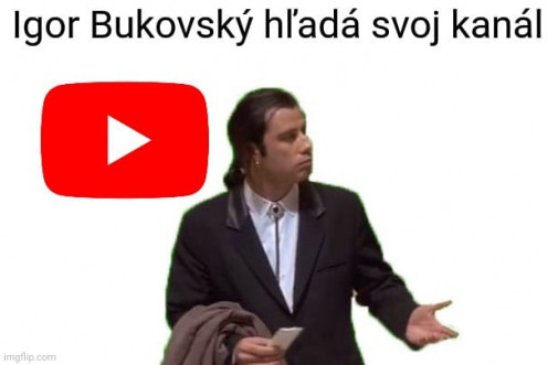 Príspevok 133481
