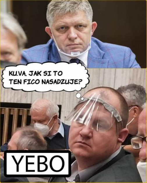 Príspevok 135331