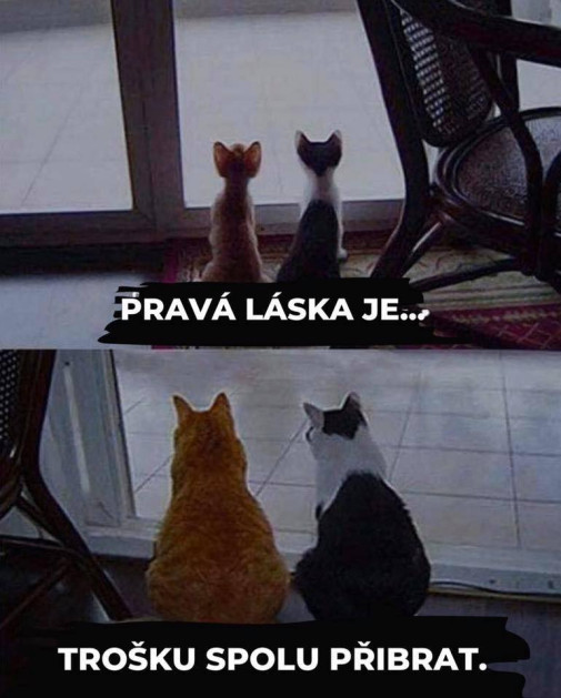 prava laska