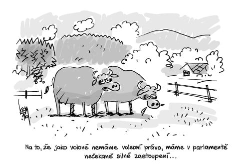 silné zastúpenie