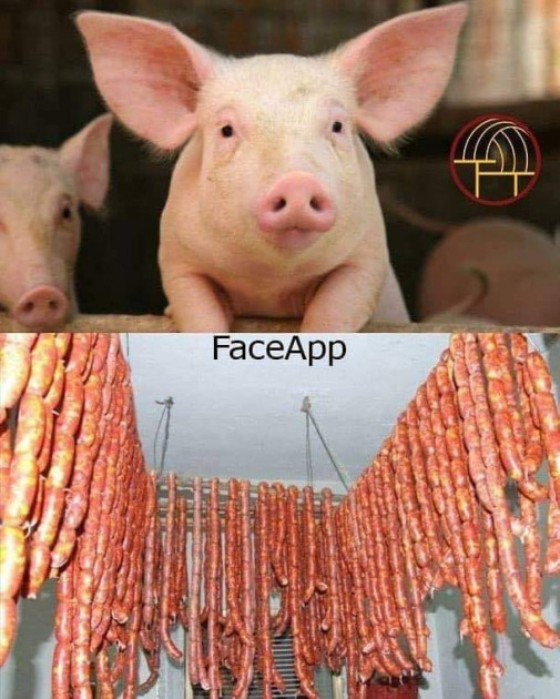 Príspevok 113283