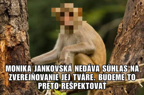 rešpektujeme