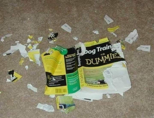 Ups
