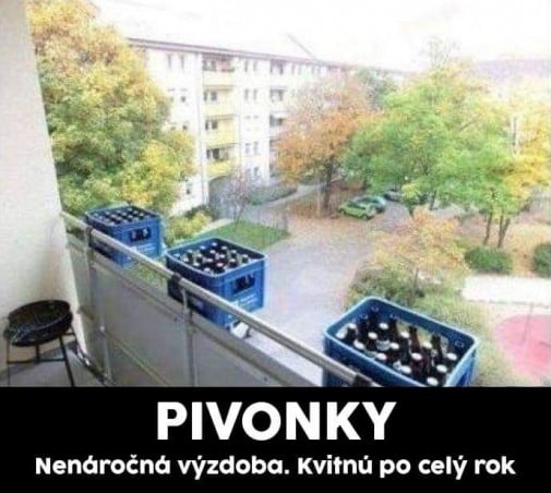 Kvitnu cely rok