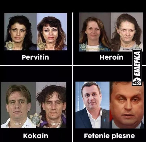 nefet plesen!