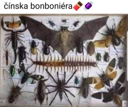 Mnamka pre labuznikov