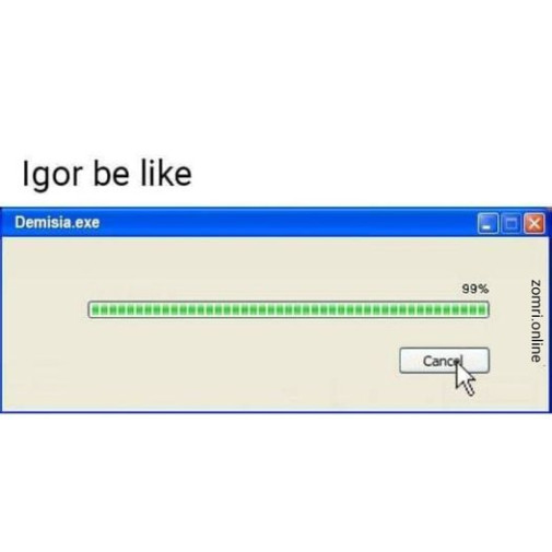 Igor a demisia