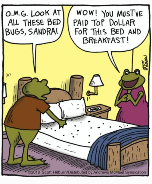 Bed & Breakfasts