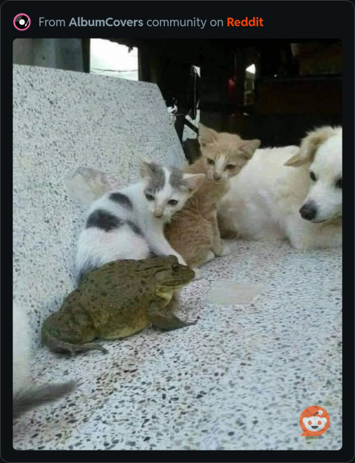 čo je to za čudo
