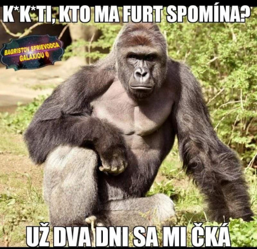Uz dva dni sa mi cka