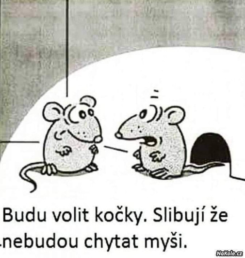 sľuby