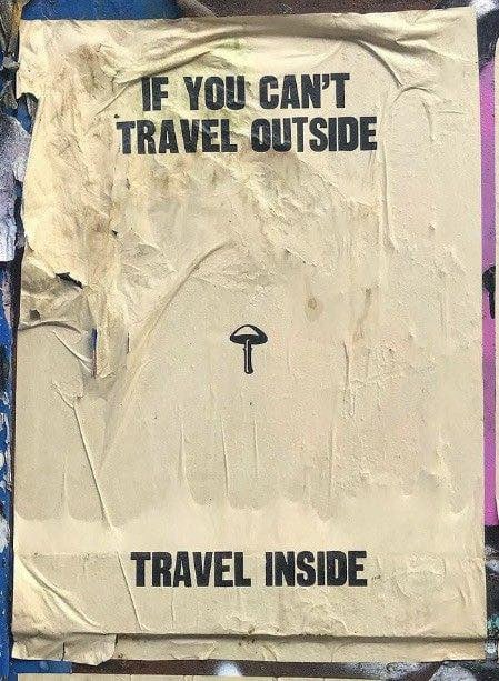 Travel inside