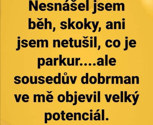 Príspevok 158496