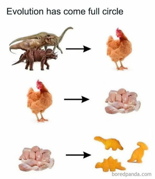 Evolcia