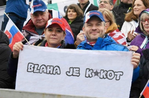 Skalni fanusikovia