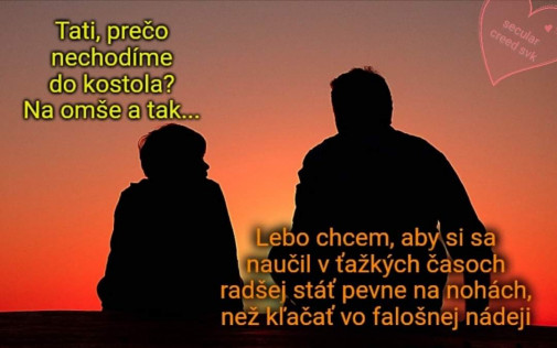 Príspevok 113617