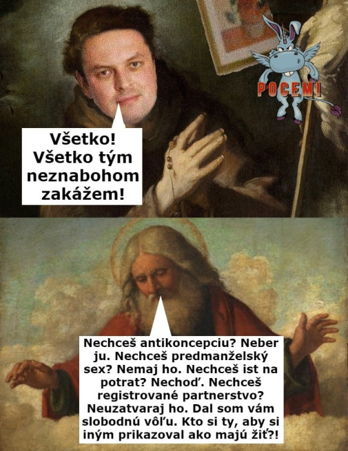 Príspevok 142477