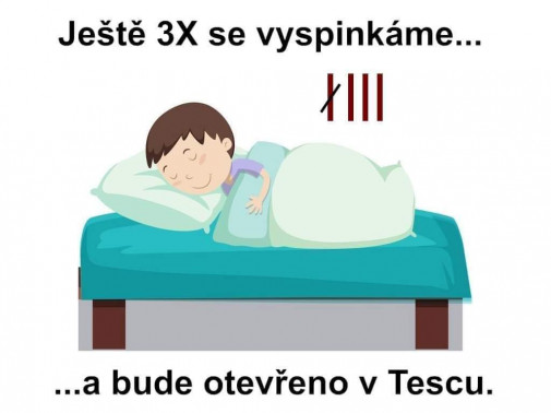 Sulík spinká