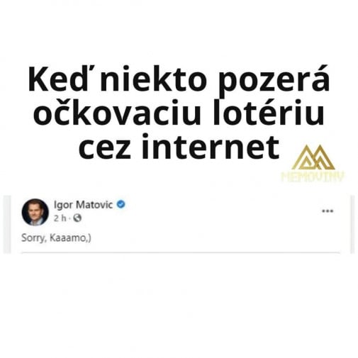 Príspevok 132358