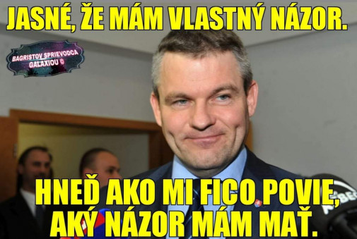Vlastny nazor