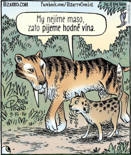vegán vinár