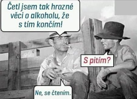 Cital som
