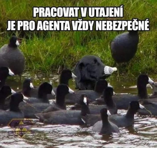 Príspevok 131119
