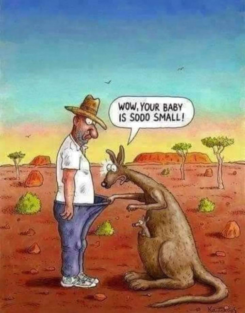 Príspevok 133049