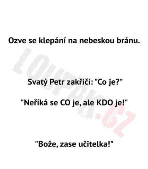 Príspevok 158499